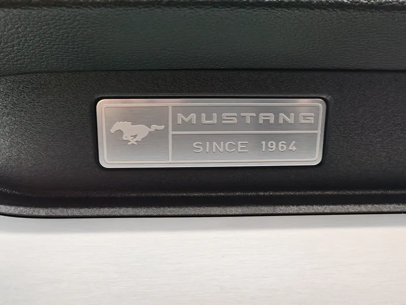 Ford Mustang foto 20
