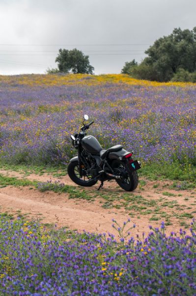 Honda CMX foto 13