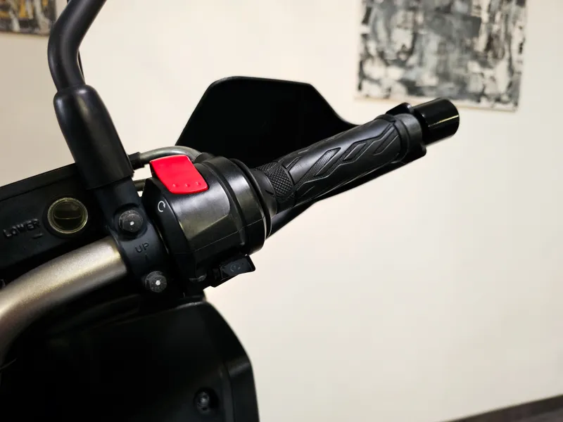 Suzuki DL foto 14