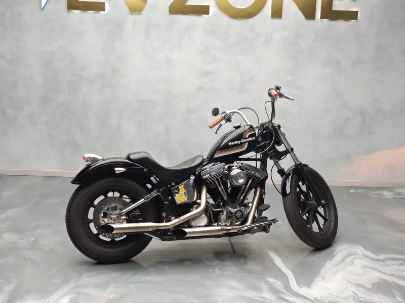Harley Davidson Heritage foto 5