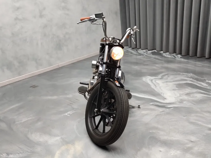 Harley Davidson Heritage foto 2