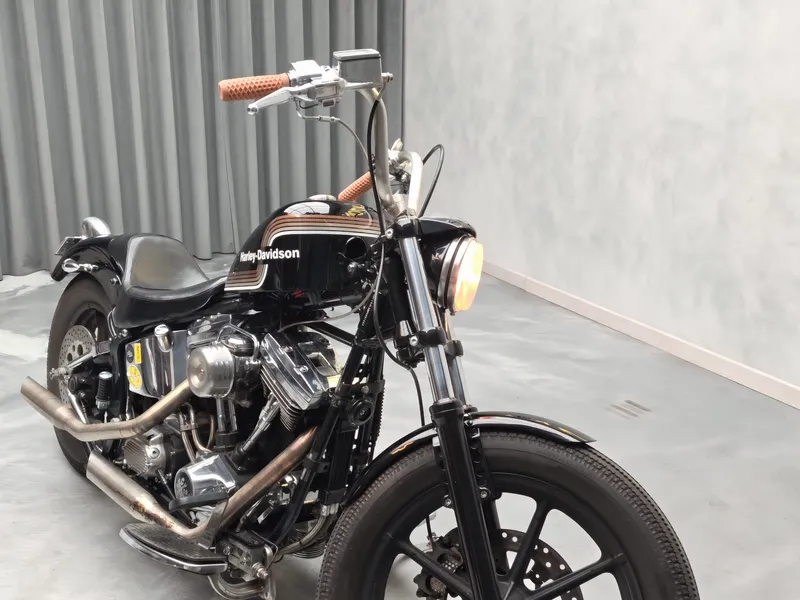 Harley Davidson Heritage foto 7