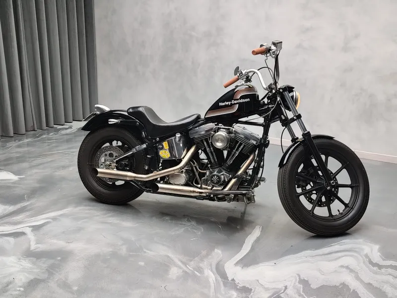 Harley Davidson Heritage foto 6