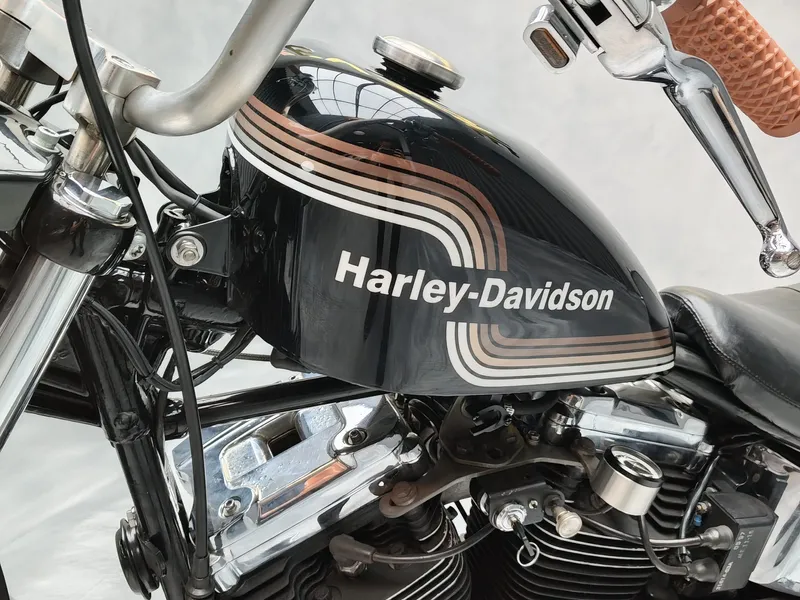 Harley Davidson Heritage foto 9