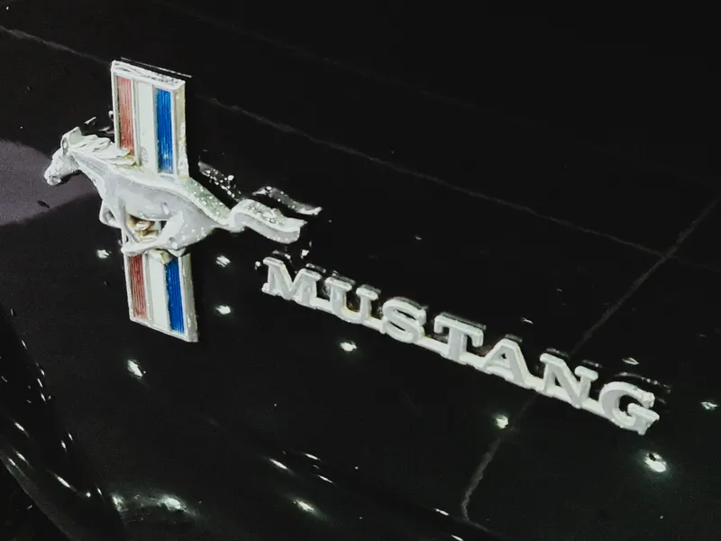 lorem ipsum dolor sit