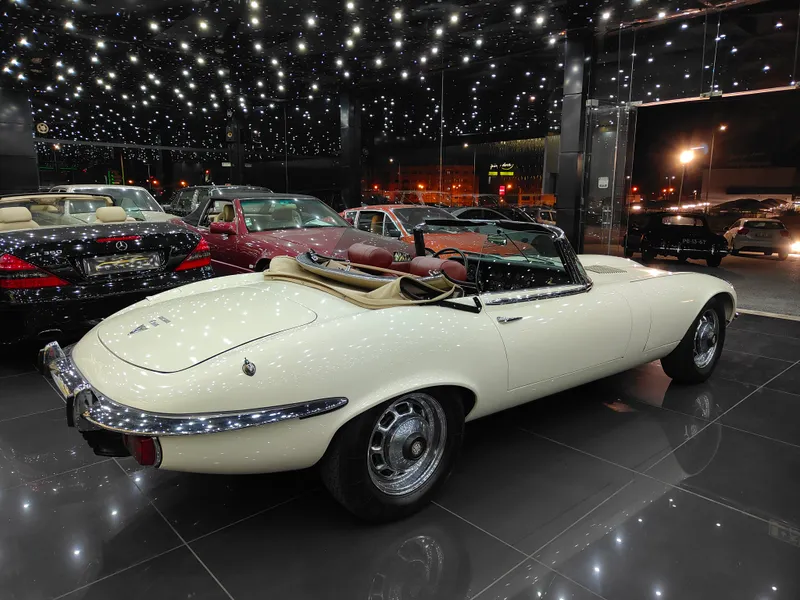 lorem ipsum dolor sit